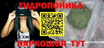 jwh Партизанск