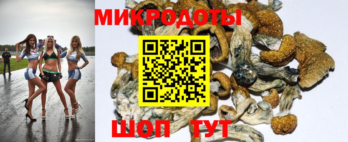 Сибай  Галлюциногенные грибы MAGIC MUSHROOMS  Вход с VPN 