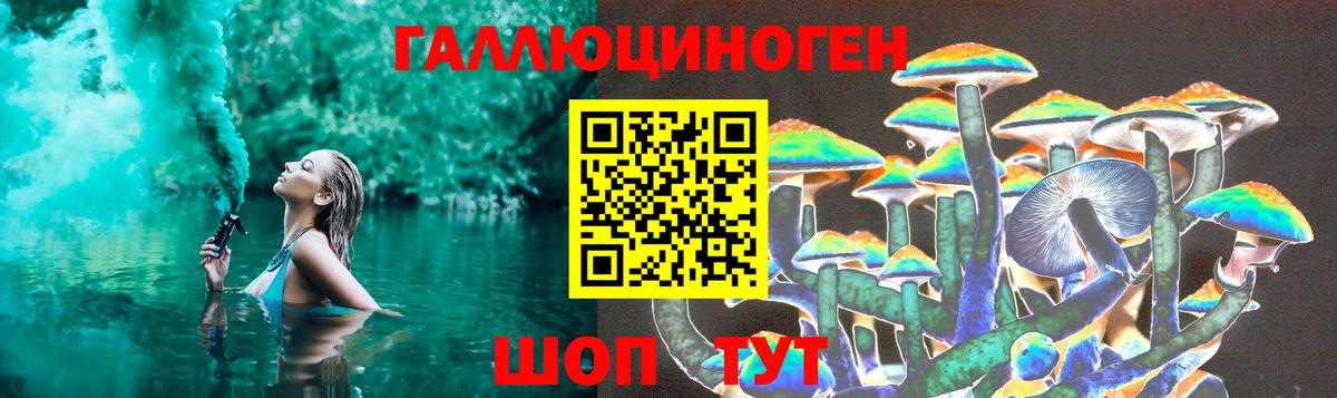 Псилоцибиновые грибы Psilocybe Сибай